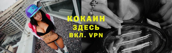 крисы Гусев