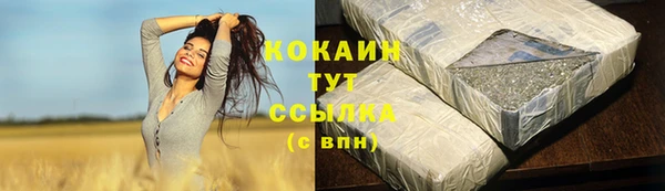 прущая мука Горняк