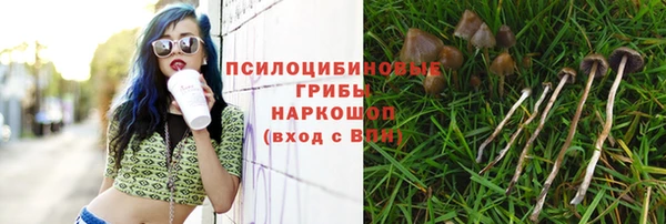прущая мука Горняк