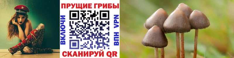 Псилоцибиновые грибы GOLDEN TEACHER  Купить где  Кола 