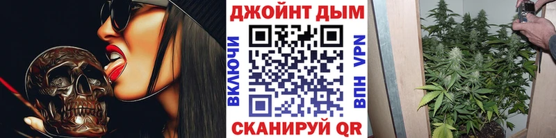 Купить закладки  Кола  Конопля семена 